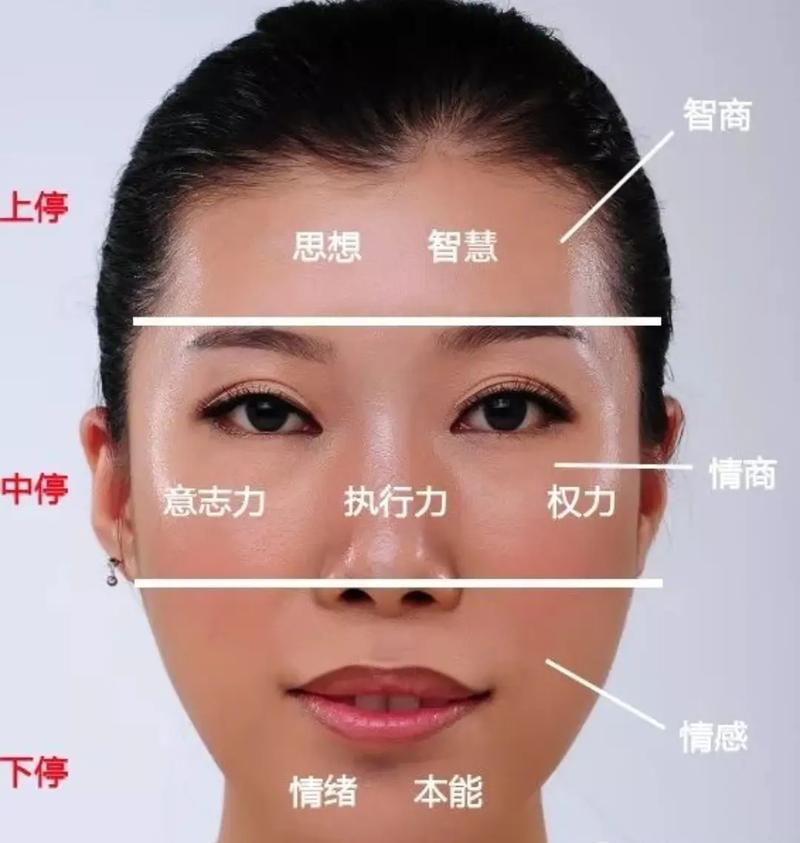 工作能力比男人厉害的女人面相(详解)