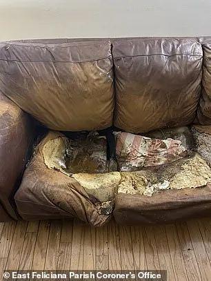梦见满地屎尿蛆虫爬