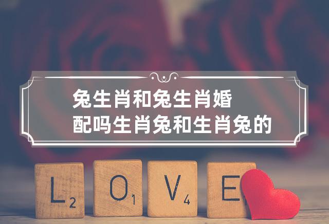 两个生肖兔结婚好吗