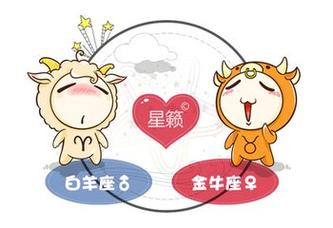 属鼠白羊座和属猴金牛座配不配