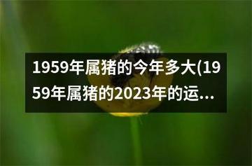 1959年生肖属猪2021年事业