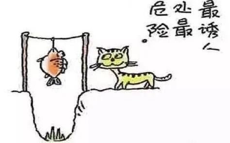 婚前你易干哪种傻事