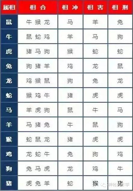 送亲属相相冲对谁不好怎么化解
