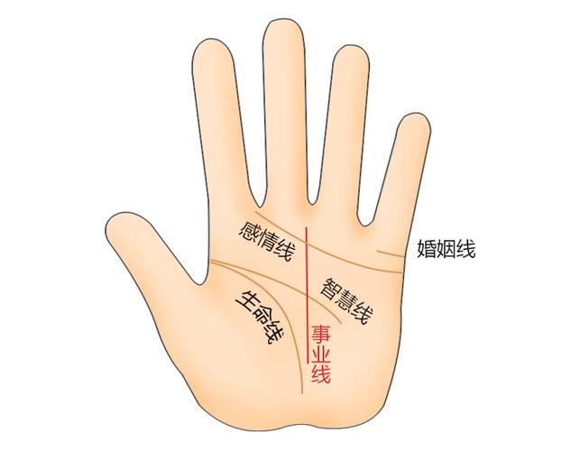 事业线是哪条?事业线怎么看?
