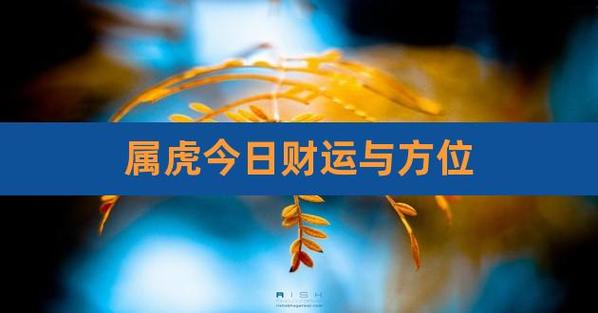 2020年生肖属虎财运方位