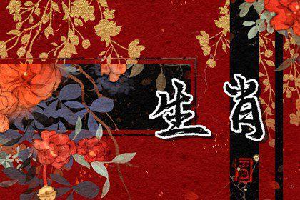 有远见,但在细节上很差劲的生肖