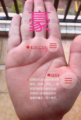 7种手相暗示大富大贵详解