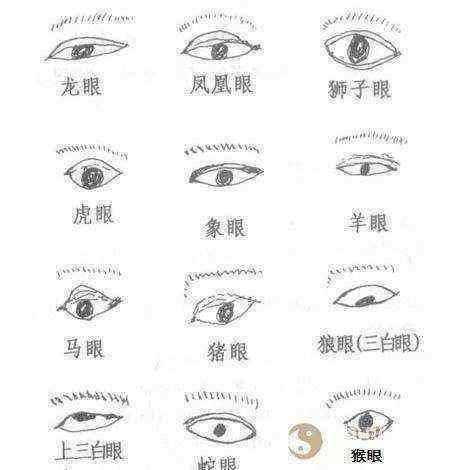 龙鼻凤眼的人命运会是怎样?