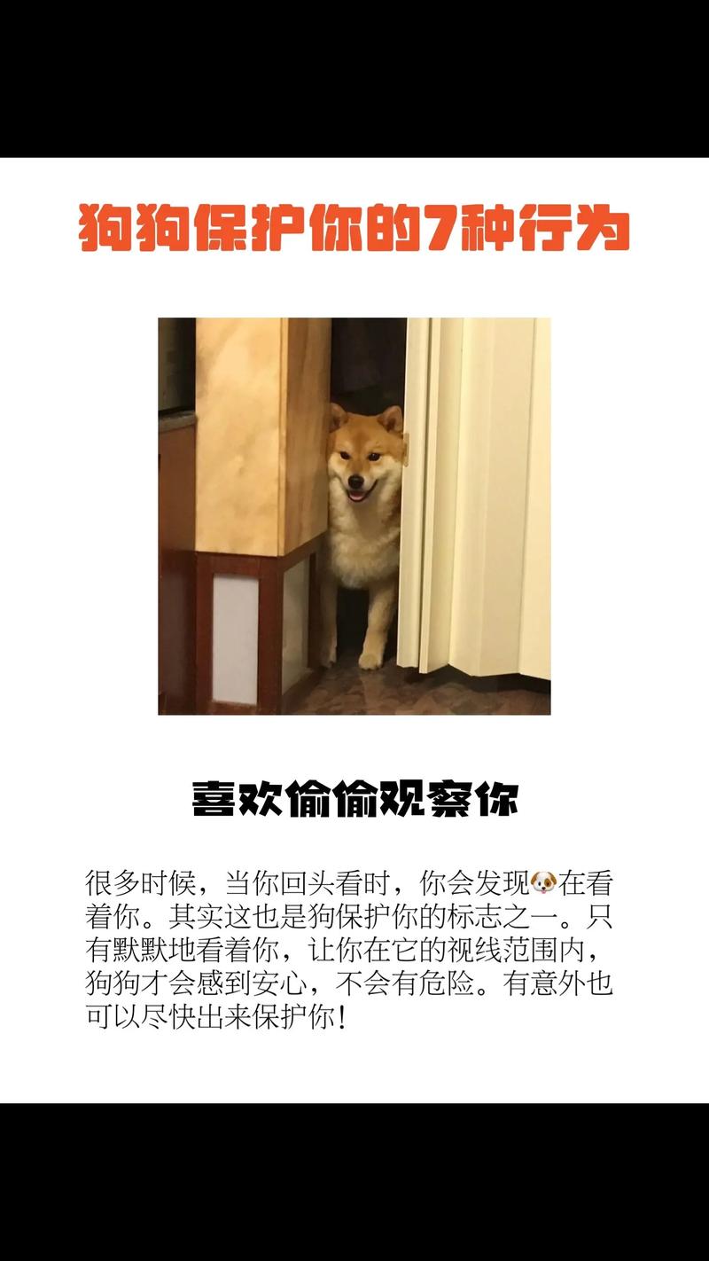 最让属狗女没有安全感的事情