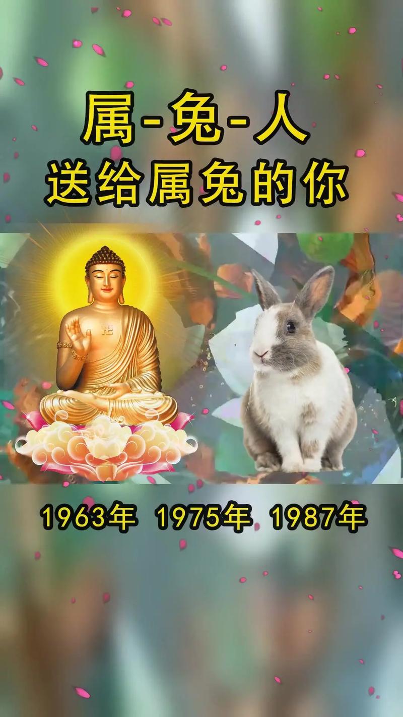 生肖兔的男生和生肖马的女生缘份指数