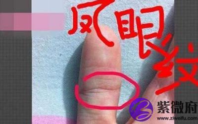 凤眼纹和佛眼纹的区别