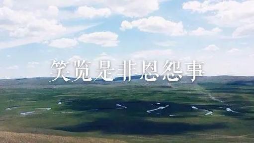 随性豪放笑看风云,享受人生百态的生肖