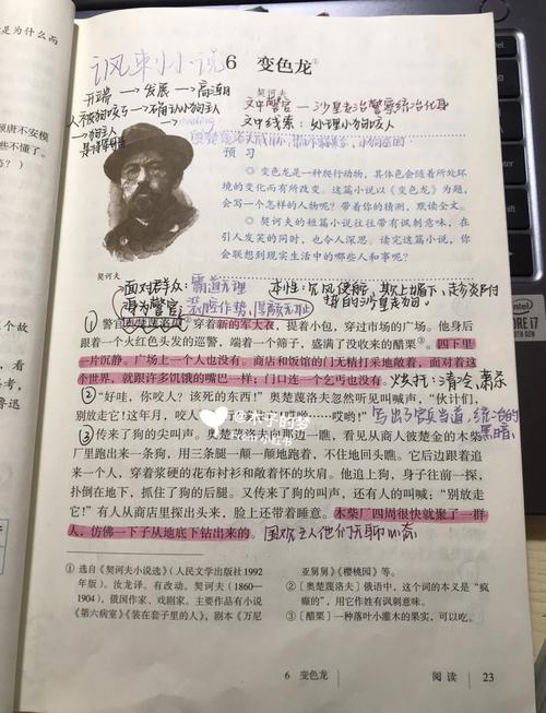 变色龙本龙 这些生肖的技能是见风使舵