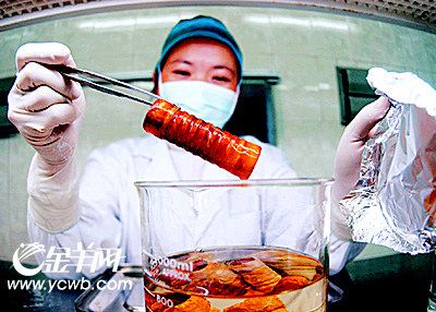 梦见猪狗生崽