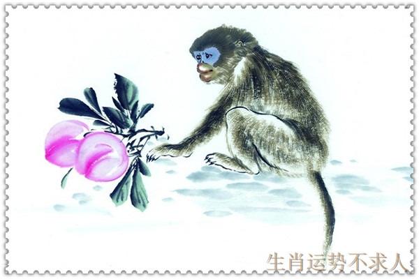 1992年子时出生的生肖属猴人命好吗,一生命运跌宕起伏,大风大浪