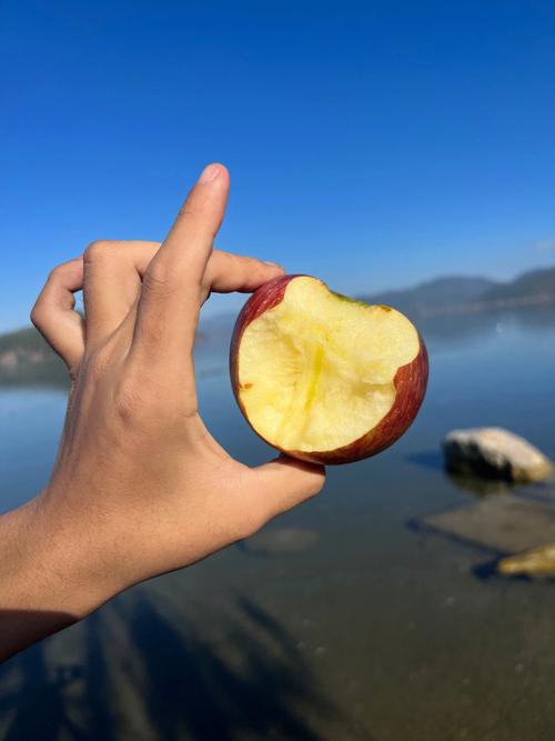 做梦梦见苹果 做梦梦见苹果和石榴
