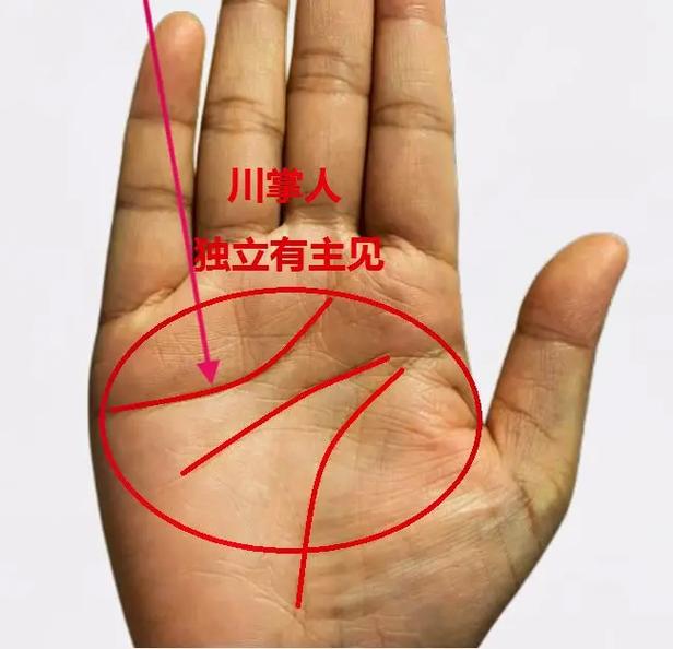 为什么川字掌的人很少