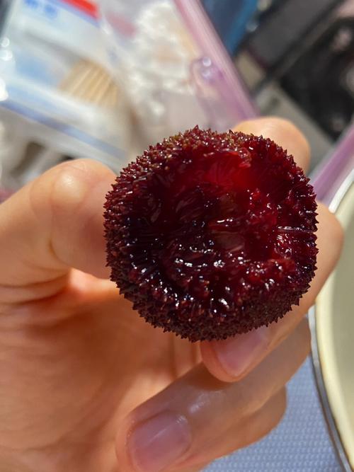 梦见吃杨梅吃到虫子