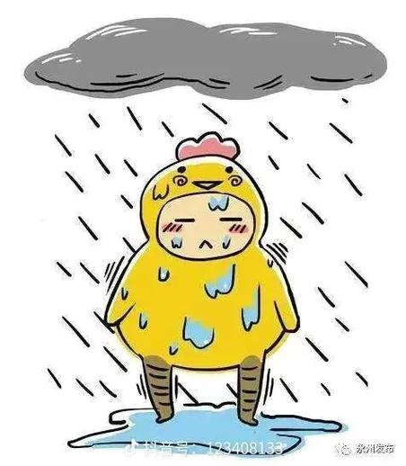梦见在雨中被淋成了落汤鸡