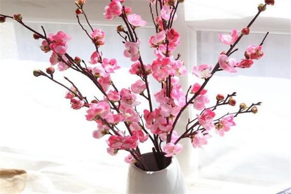 女人家里放什么会有桃花运