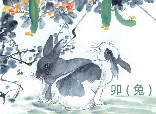 87年属兔的运旺吗