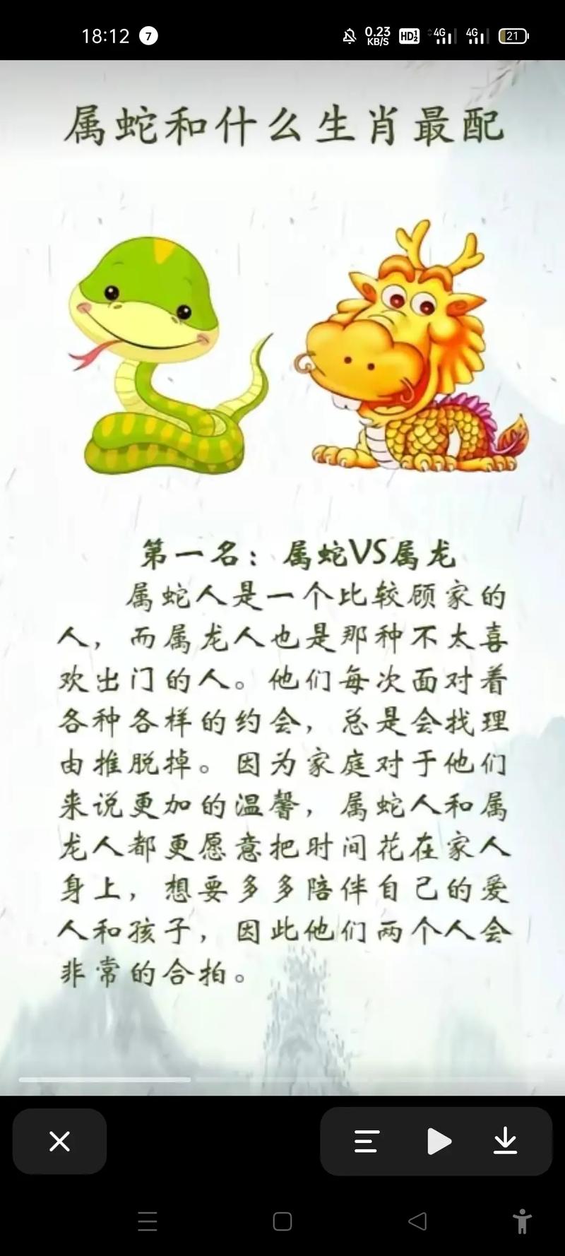 属龙的生肖配对
