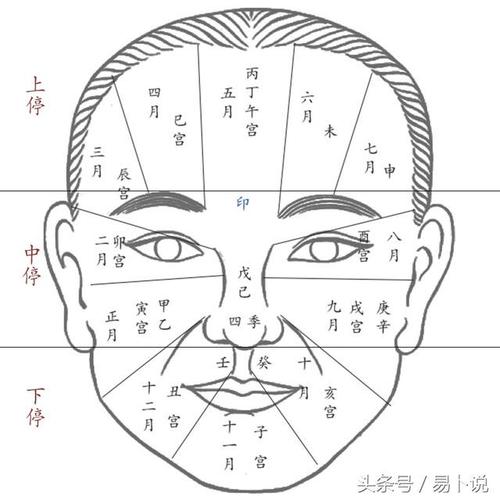 面相解读:面相三停流年运势