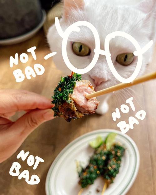 梦见羊肉串周公解梦,梦见羊肉串是什么意思?