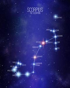 那几个星座是有灵性的