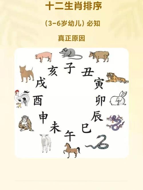 十二生肖今年到底多少岁?