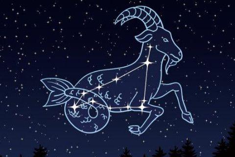 最没有事业心的星座
