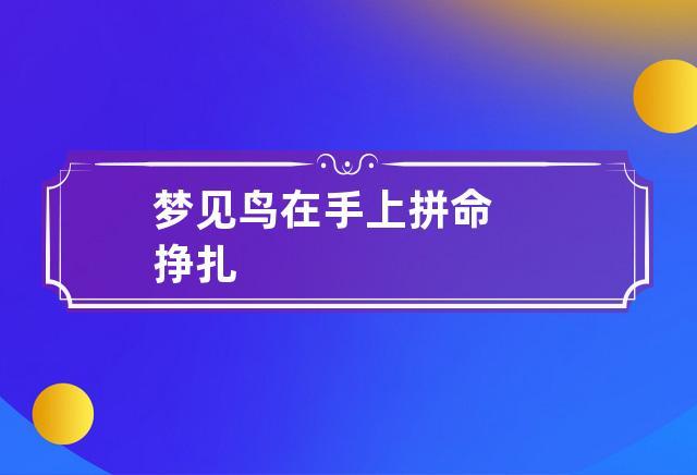 梦见鸟在手上拼命挣扎