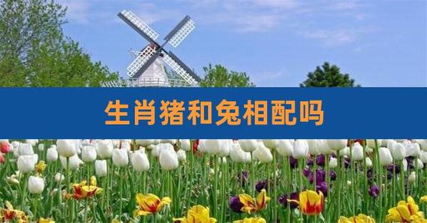 生肖猪和生肖兔相配吗?属金的生肖猪性格怎样?