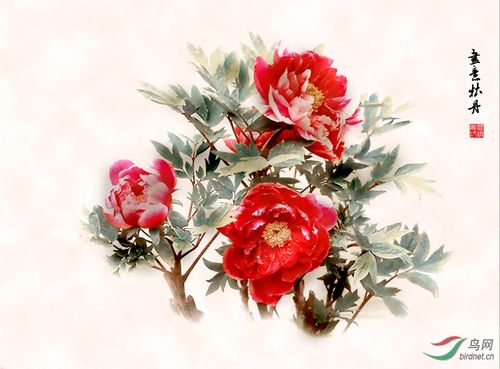 梦见牡丹花画作