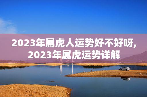 属牛遇虎年2023年