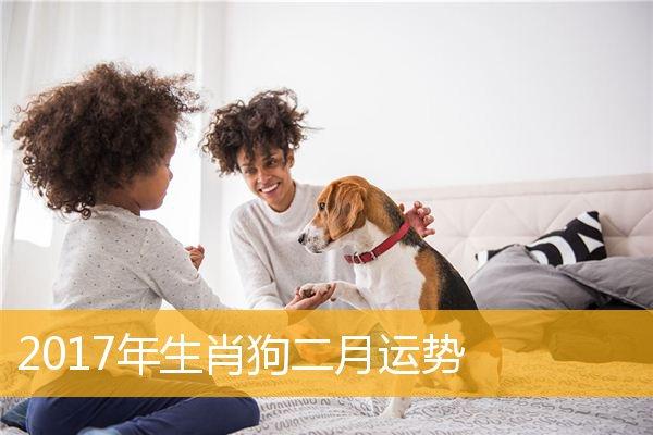2017年属狗的运势如何?