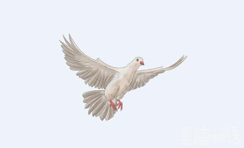 梦见吃鸽子是什么意思