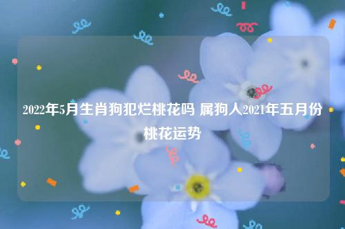2021年属狗有烂桃花会在几月份