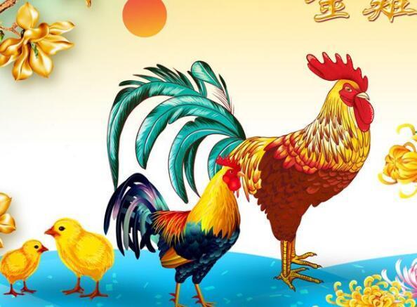 属鸡的人今年财运怎么样?