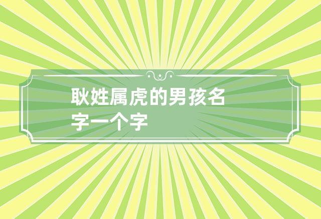 属虎的耿姓男宝宝名字