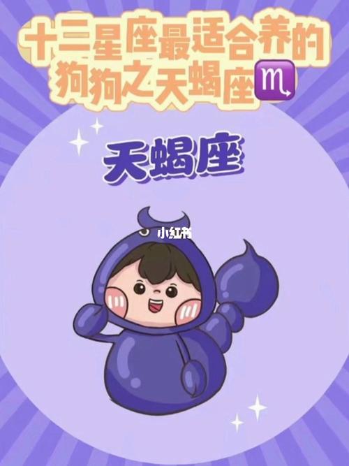 天蝎座的人喜欢养什么犬