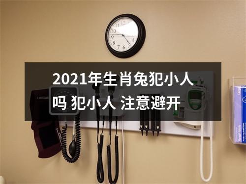 2021年生肖兔犯小人吗