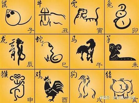 离婚率最高的生肖排行,超准!