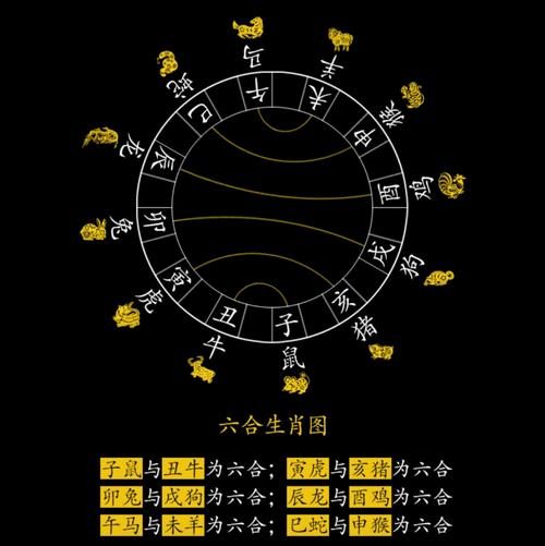 属兔和什么属相相冲相克
