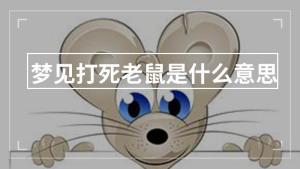 梦见大老鼠被打死是什么意思