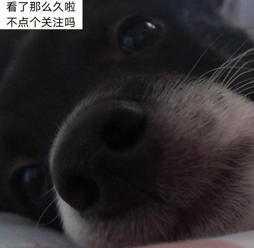 四两九钱女命四十七有一劫的意思