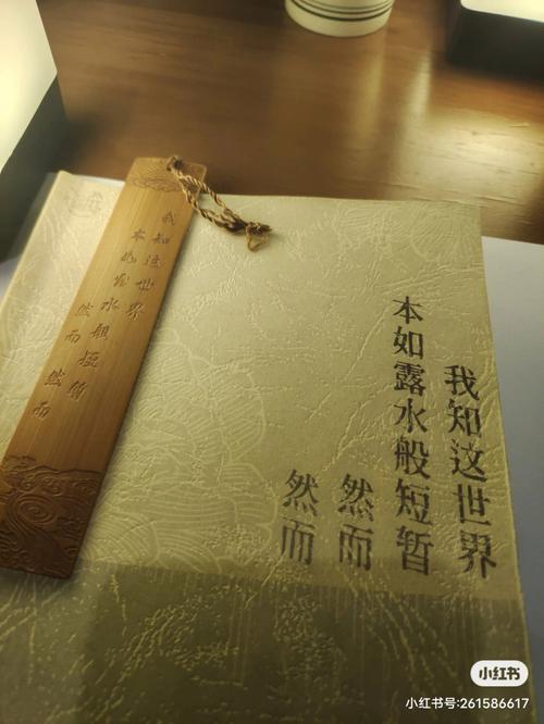 梦见档案会不会不好