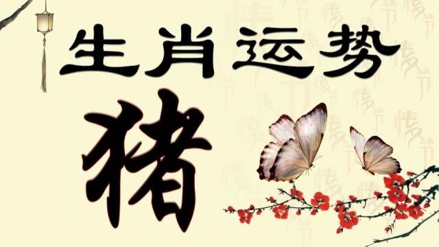 2019猪年12月份生肖属牛人有贵人运吗,怎么提升贵人运