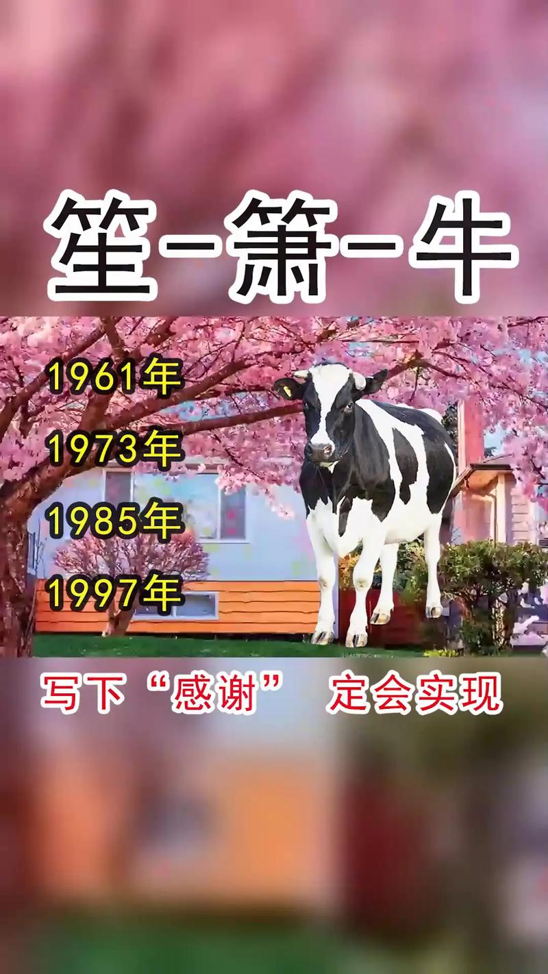 生肖牛和什么生肖最配