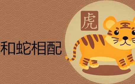 生肖属虎妈妈和生肖属蛇爸爸2020年适合要小孩吗,性格相合?